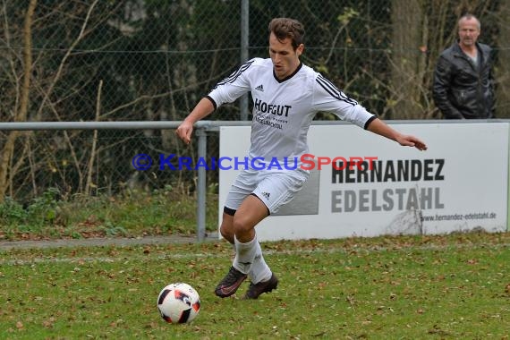 Landesliga Rhein Neckar TSV Michelfeld vs ASV/DJK Eppelheim  (© Siegfried)